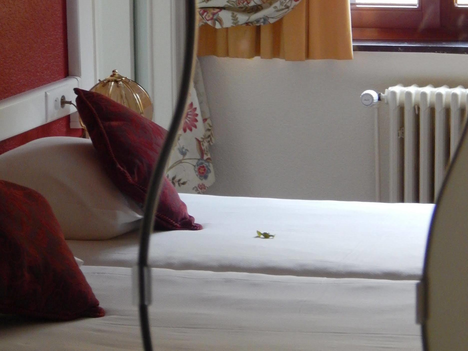 Hostellerie Beau Site Trois-Ponts Zewnętrze zdjęcie
